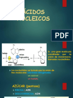 ÁCIDOS NUCLEICOS biología