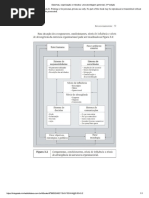 níveis - estrutura organizacional