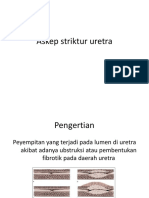 Asuhan Keperawatan Striktus Uretra