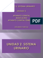 Semiologia Aparato Genitourinario PDF