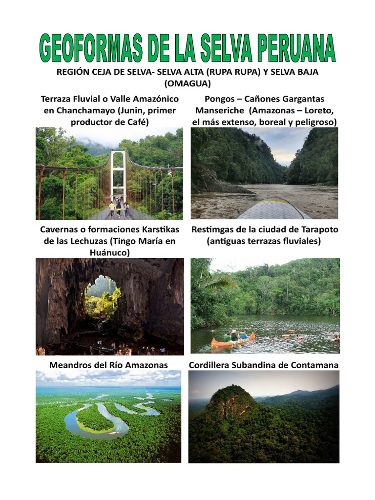 Geoformas de la Selva Peruana | PDF