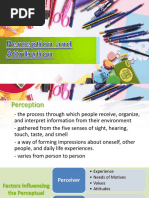 Chapter 4 - Perception and Attribution