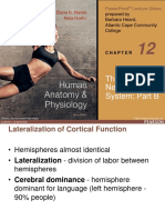 Human Anatomy & Physiology: The Central Nervous System: Part B