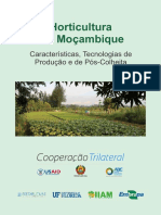 Horticultura Em Moçambique PDF