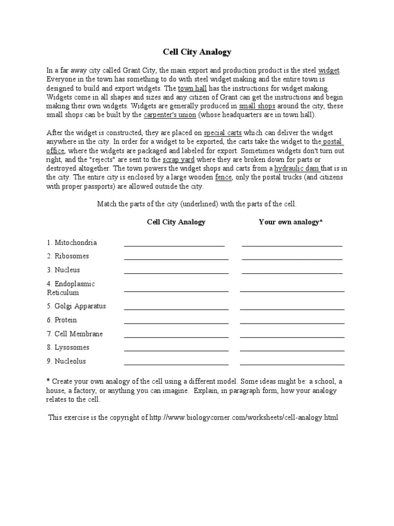 Cell City Analogy 11  Biological Membrane  Endoplasmic Reticulum For Cell City Analogy Worksheet