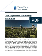 Top Sugarcane Exporters Countries