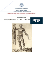 Compendio Di Anatomia