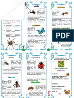 TRIPTICO  ATROPODO