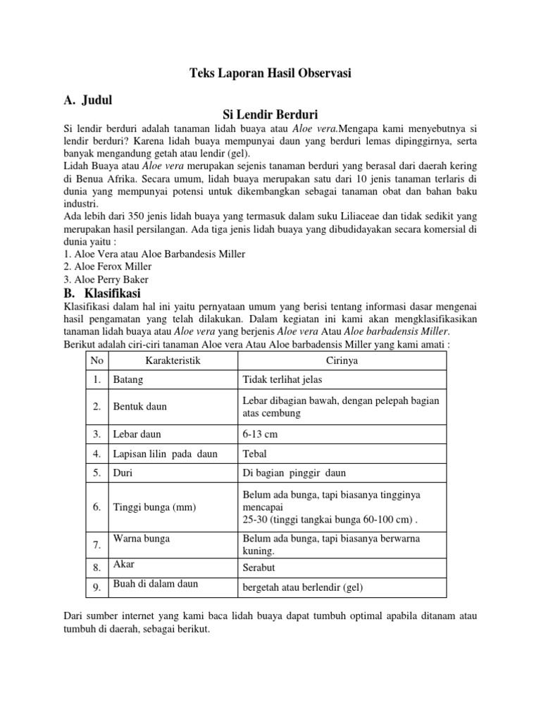 Laporan Hasil Observasi Tanaman Lidah Buaya Berbagi Tanam