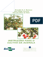CPATC-DOCUMENTOS-6-INSTRUCOES-PARA-O-CULTIVO-DA-ACEROLA-FL-13124.pdf