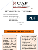 perfil ocupacional y profesional