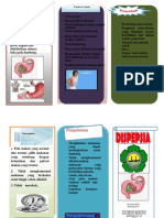 Leaflet Dispepsia