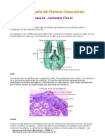 Tema22.pdf