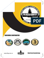 Brochure Black Forest Security Group 2018