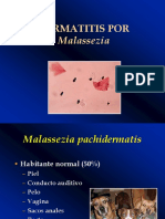 Dermatitis Por Malassezia