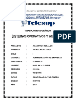 Monografía Sobre Windows