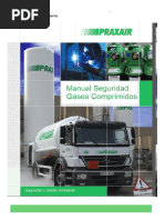 Transporte y Almacenamiento de Gases | PDF | Gases | Oxígeno