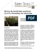 Deriva de Herbicidas Auxínicos (2,4-D e Dicamba) em Olerícolas