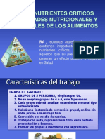 Ficha Nutrientes Criticos 2017 FINAL