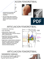 Articulacion Femorotibial