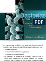 Bacterio II Parte