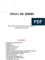 Ciclo de Krebs ENG