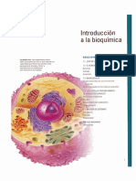 Introduccion a la bioquímica