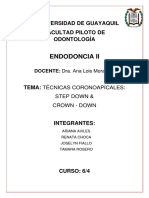 Tecnica Corono Apical 