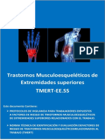 Trastornos Musculoesqueléticos de Extremidades Superiores TMERT- EE.SS