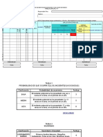 Formato Matriz ACHS