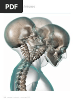 Download Working with Whiplash Part I Myofascial Techniques by Advanced-Trainingscom SN38101164 doc pdf