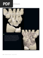 Download Working with Wrist and Carpal Bones Myofascial Techniques by Advanced-Trainingscom SN38101566 doc pdf