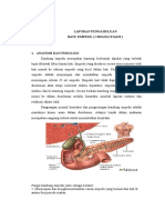 Cholelitiasis Laporan Pendahuluan