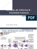 Ativação de Linfócitos B - Imunidade Humoral