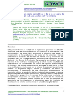 Presentacion - La Necropsia y El Examen Pstmortem PDF