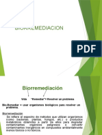 BIORREMEDIACION