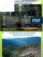 1) Deterioro de Los Recursos Forestales