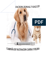 Camapaña de Vacunacion Canina y Felina 2018