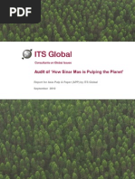 ITS Global Greenpeace Audit Report 