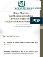 Absceso Renal, Pielonefritis Enfisematosa y Xantogranulomatosa Expo Coutiño Ok Ok