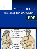 Anatomi Fisiologi Endokrin (Jadi)