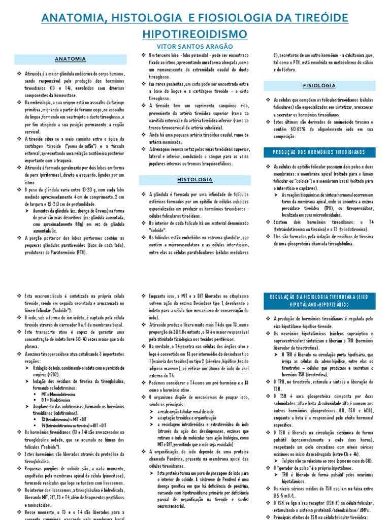 Anatomia e Fisiologia da Tireoide | PDF | Tireoide | Anatomia humana, image size:768x1024