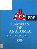 LAMINAS_SNC.pdf