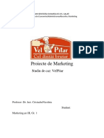 115488104-Proiecte-de-Marketing-Studiu-de-Caz-VelPitar.docx