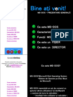 Prezentare_MS-DOS.pps