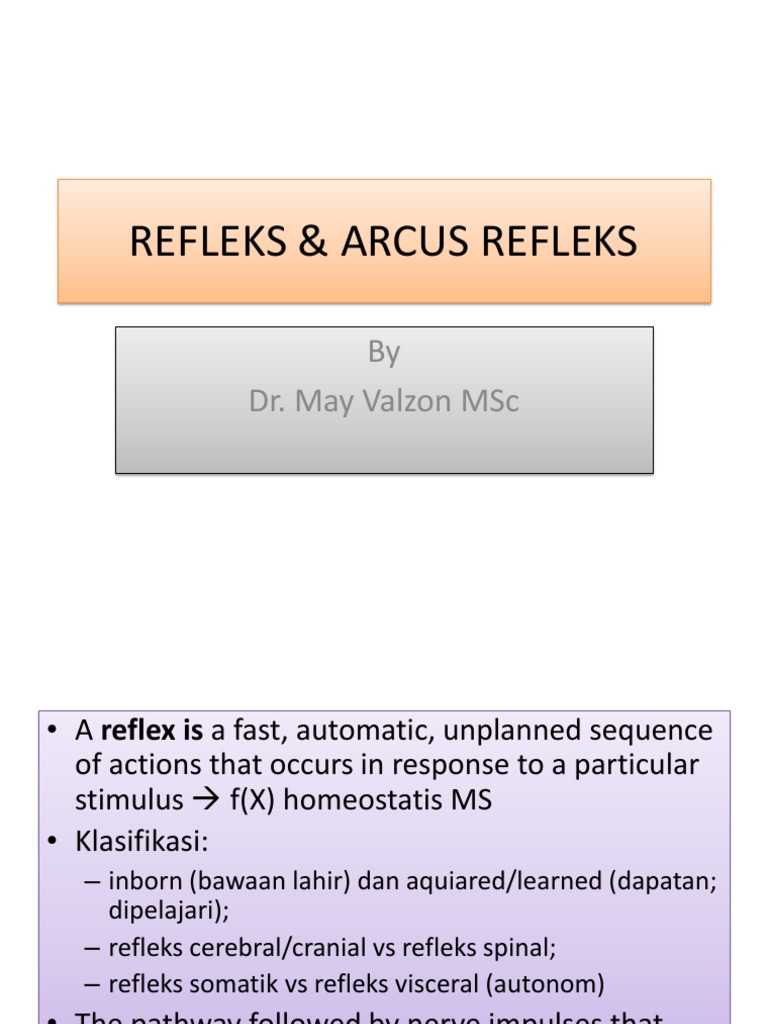 Refleks & Arcus Refleks | PDF | Knee | Ankle