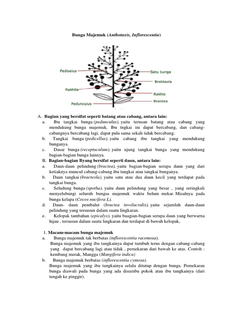Bunga Majemuk Pdf