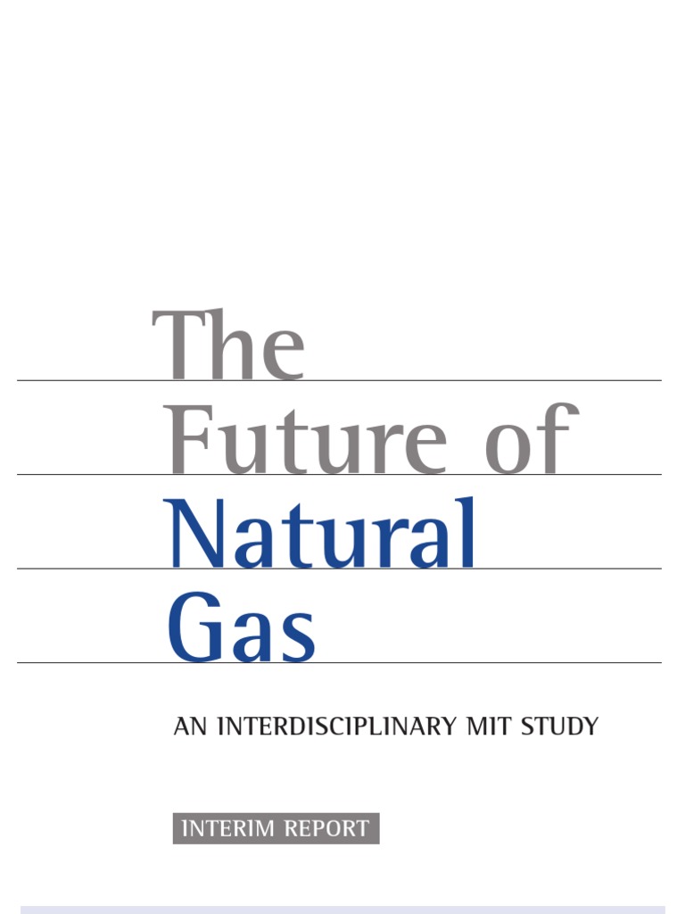 The Future of Natural Gas | PDF | Low Carbon Economy | Natural Gas
