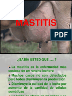 Mastitis