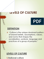 Levels of Cultural 1